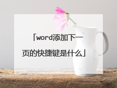 word添加下一页的快捷键是什么