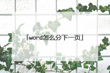 word怎么分下一页