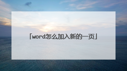 word怎么加入新的一页