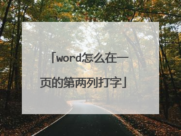word怎么在一页的第两列打字