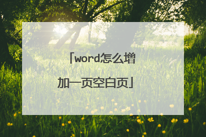 word怎么增加一页空白页