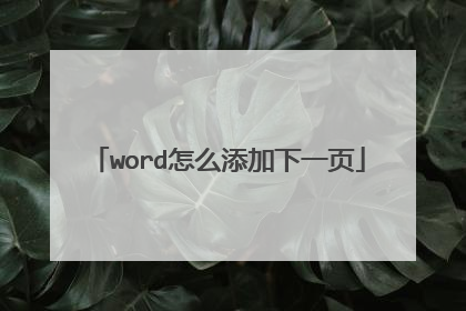 word怎么添加下一页