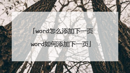 word怎么添加下一页 word如何添加下一页