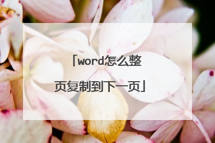 word怎么整页复制到下一页