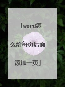 word怎么给每页后面添加一页