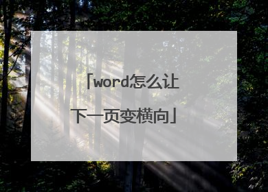 word怎么让下一页变横向
