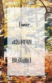word怎样切换页面