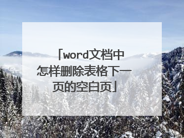 word文档中怎样删除表格下一页的空白页