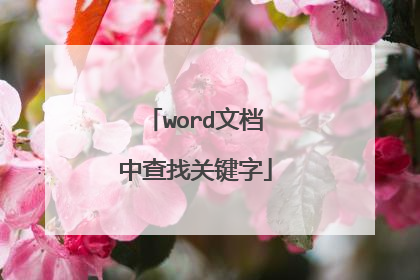 word文档中查找关键字