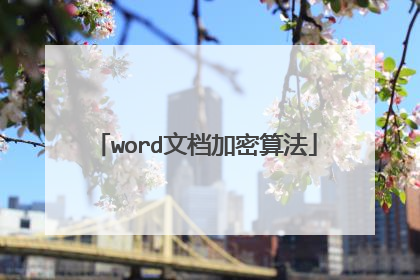 word文档加密算法