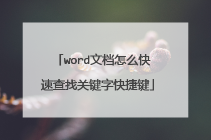word文档怎么快速查找关键字快捷键