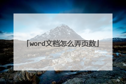 word文档怎么弄页数