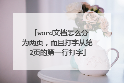 word文档怎么分为两页，而且打字从第2页的第一行打字