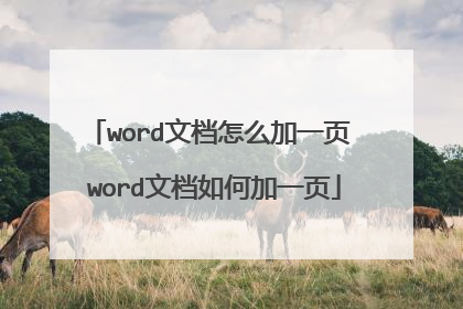word文档怎么加一页 word文档如何加一页