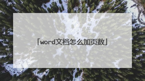 word文档怎么加页数