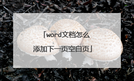 word文档怎么添加下一页空白页