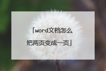 word文档怎么把两页变成一页