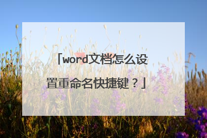 word文档怎么设置重命名快捷键？