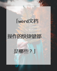 word文档操作的快捷键都是哪些?