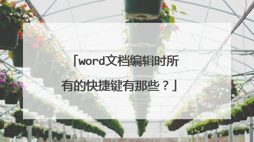 word文档编辑时所有的快捷键有那些？