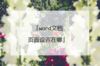 word文档页面设置在哪
