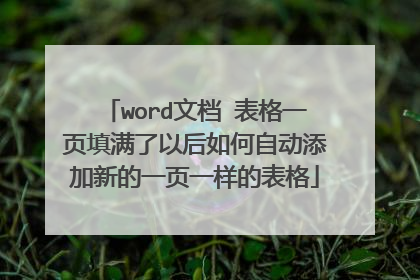 word文档 表格一页填满了以后如何自动添加新的一页一样的表格