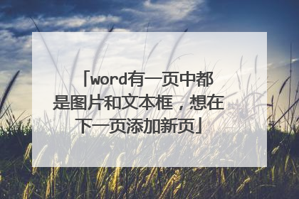 word有一页中都是图片和文本框,想在下一页添加新页