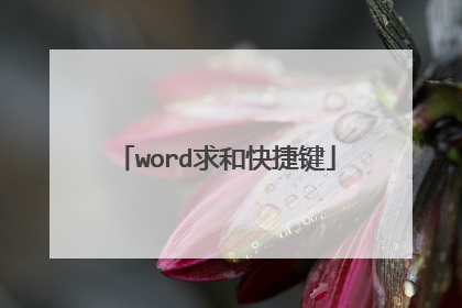 word求和快捷键