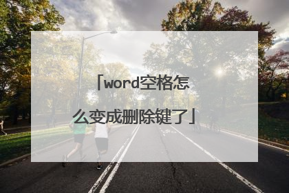 word空格怎么变成删除键了