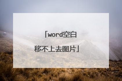 word空白移不上去图片