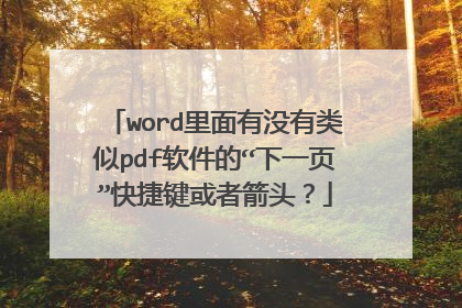 word里面有没有类似pdf软件的“下一页”快捷键或者箭头?