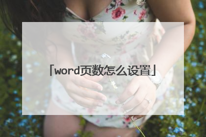word页数怎么设置