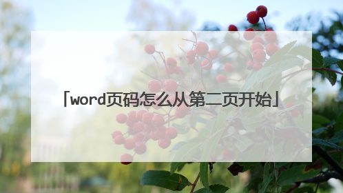 word页码怎么从第二页开始