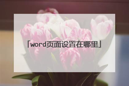 word页面设置在哪里