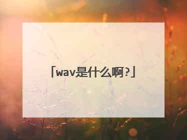 wav是什么啊?