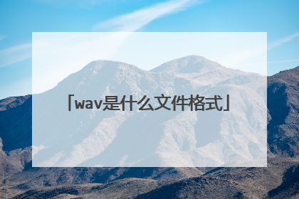 wav是什么文件格式