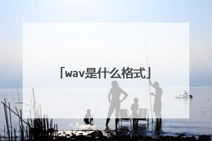 wav是什么格式