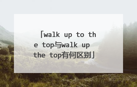 walk up to the top与walk up the top有何区别