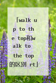 walk up to the top和walk to the top的区别 rt