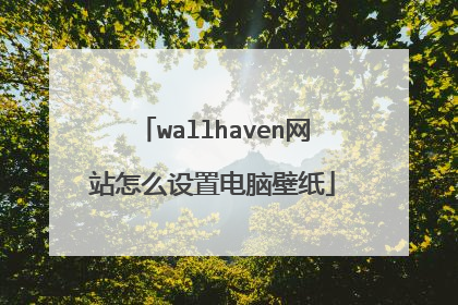 wallhaven网站怎么设置电脑壁纸