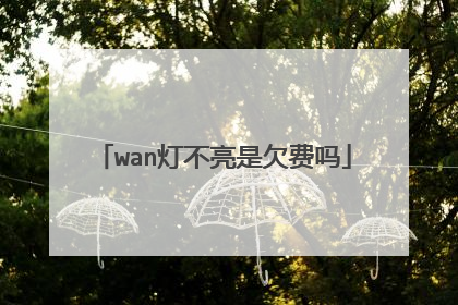 wan灯不亮是欠费吗
