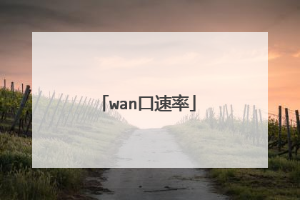 wan口速率