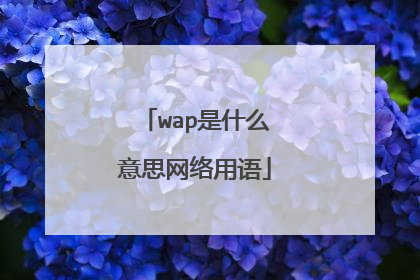 wap是什么意思网络用语