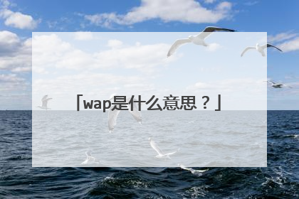 wap是什么意思？