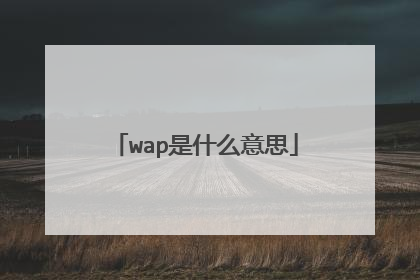 wap是什么意思
