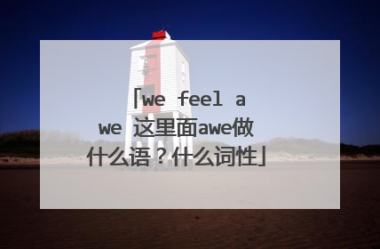 we feel awe 这里面awe做什么语?什么词性