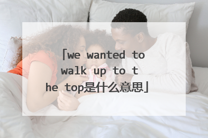 we wanted to walk up to the top是什么意思