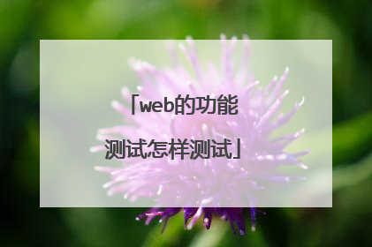 web的功能测试怎样测试