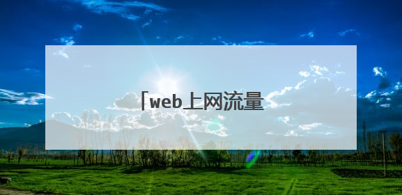 web上网流量是什么意思？