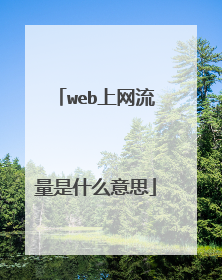 web上网流量是什么意思